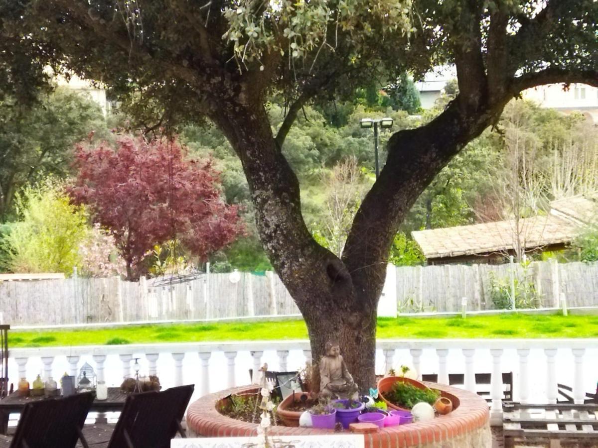Holiday home Lovely Nearby Madrid To Enjoy Nature *